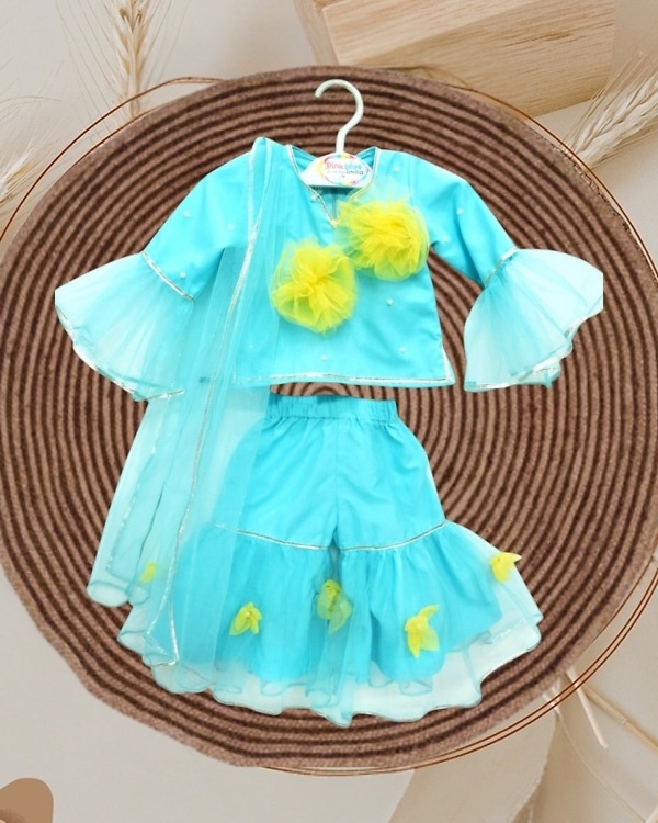 Designer baby sharara crop top, toddler girl, festival or wedding, stylish and cute