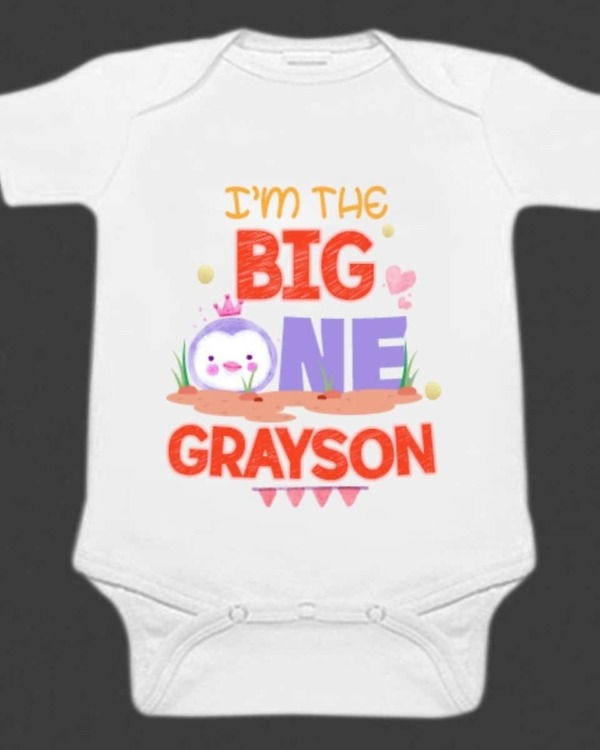 Funny first birthday onesie for baby cute celebration wear outfit