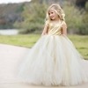 Fairy-tale party wear dress for baby girls, cute birthday outfit