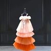 Bouquet design gown for baby girl, cute and stylish outfit for birthday party