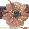 Coffee brown crochet headband for baby girls festive wear stylish