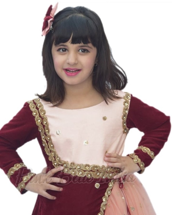 Indian wedding velvet gown for girls elegant designer festive occasion wear