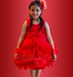 Girls Dresses & Gowns