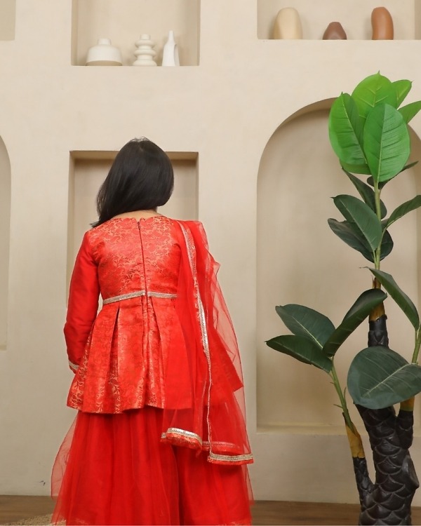 Girls Red Peplum Lehenga Set with Dupatta Ethnic Wear Pink Blue India back view